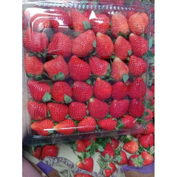 

Buah Strawberry, harga per box/1kg