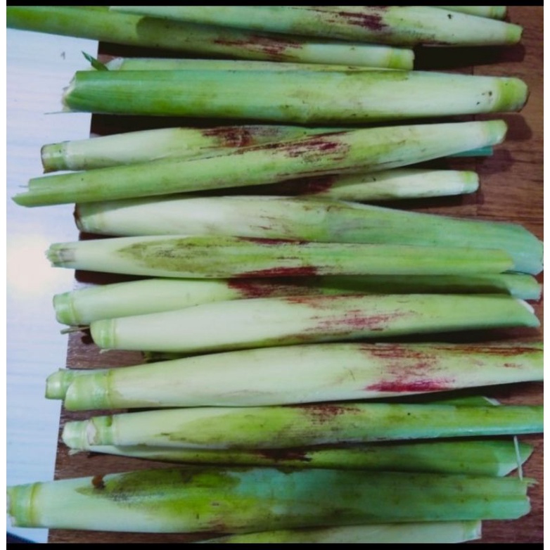 

Terbaik sayur terubuk segar/Endog tebu/sayur terubuk/perbuah