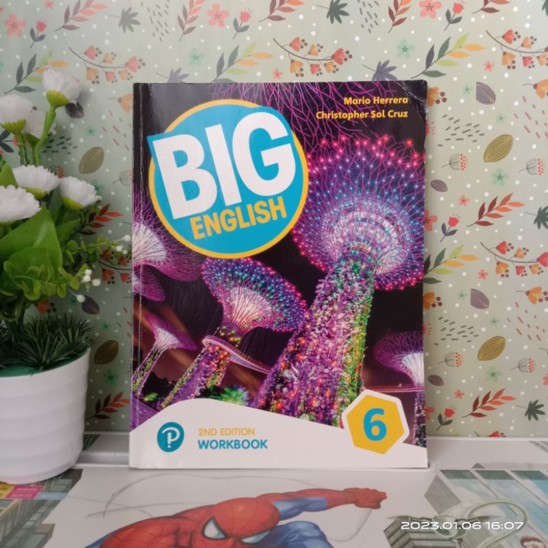 BIG ENGLISH 6 WORKBOOOK / 2nd Edition