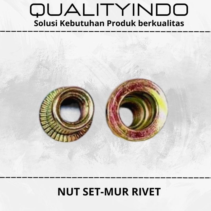 Nutsert M10 besi 10 PCS - Rivet nut - Mur rivet