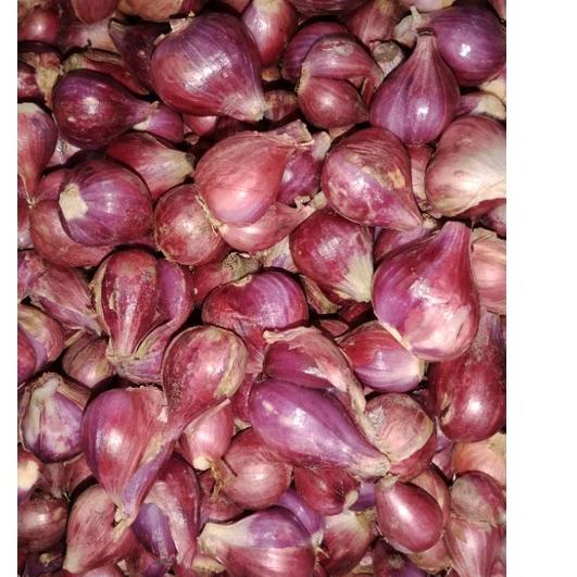 

FIA592 BAWANG MERAH BREBES ASLI SUPER 1kg +