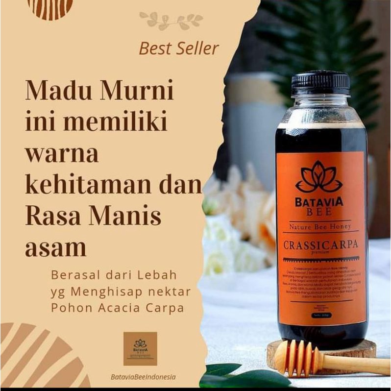 

Madu CRASSICARPA batavia bee madu murni asli 100% madu hitam manis asam