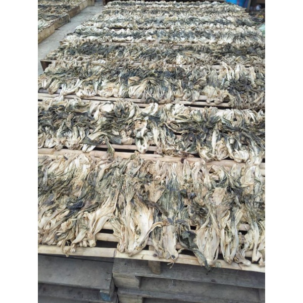 sayur asin kering / sawi asin kering / ham coy con, 100 gram kualitas premium