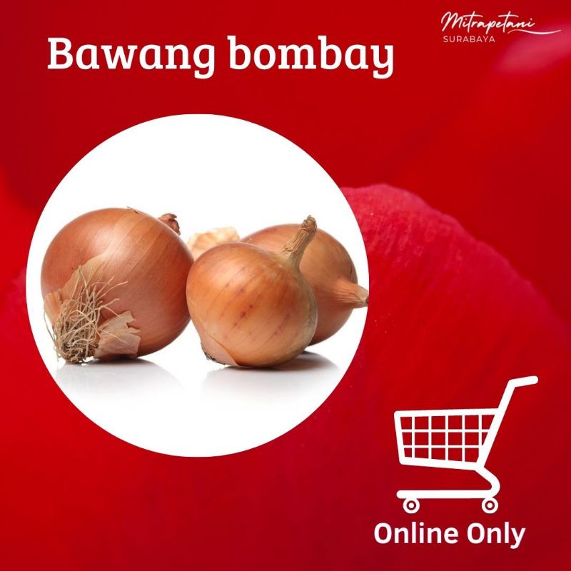 

Bawang bombay 250 gram ,bawang bombay segar