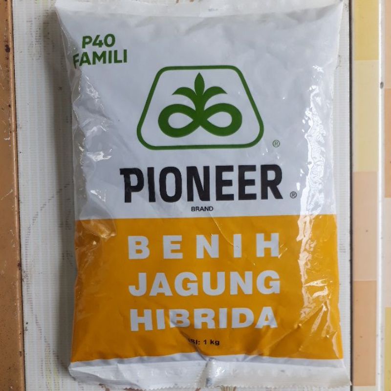 bibit jagung pionerP40