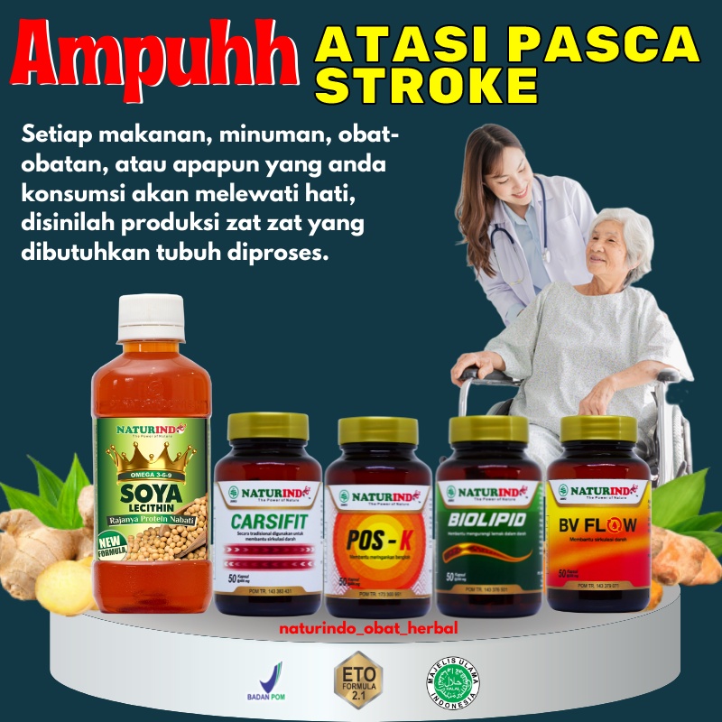 Paket Obat Stroke Herbal Ampuh Jamu Sehat Stroke Ringan Lumpuh Penyumbatan Pembuluh Darah Paket Obat