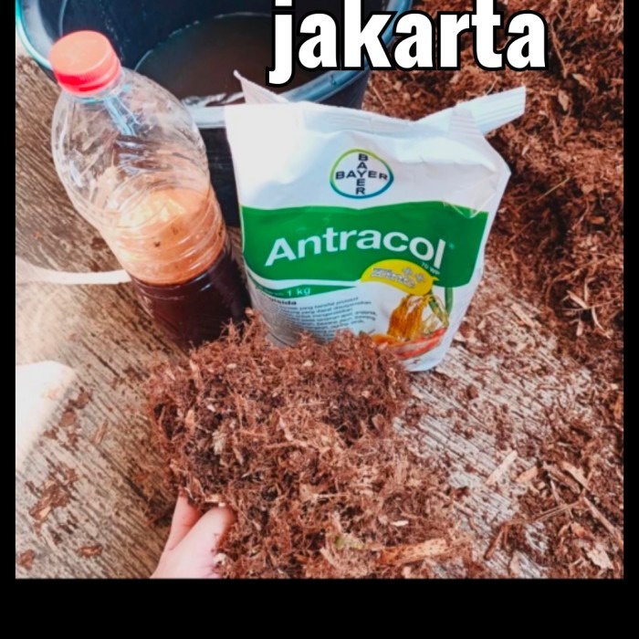 humus akar bambu, humus organik murni, super subur, metan premium,