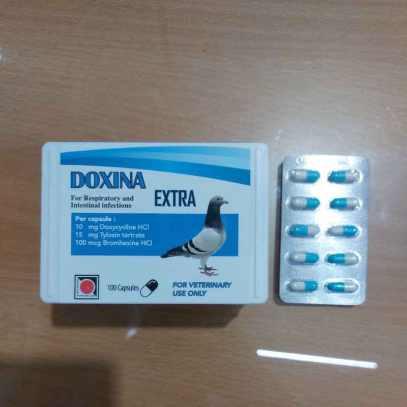 Doxina 10 Capsul Antibiotik Burung Doxina Extra Anti inflamasi/Ekspektoran