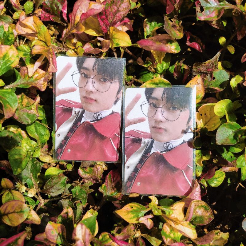 LD Haruto The Same E Lucky Draw Treasure SameE Ruto Jasmer Pc Photocard