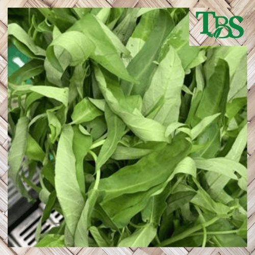KANGKUNG KUALITAS PREMIUM (KHUSUS SAMEDAY DAN INSTAN)