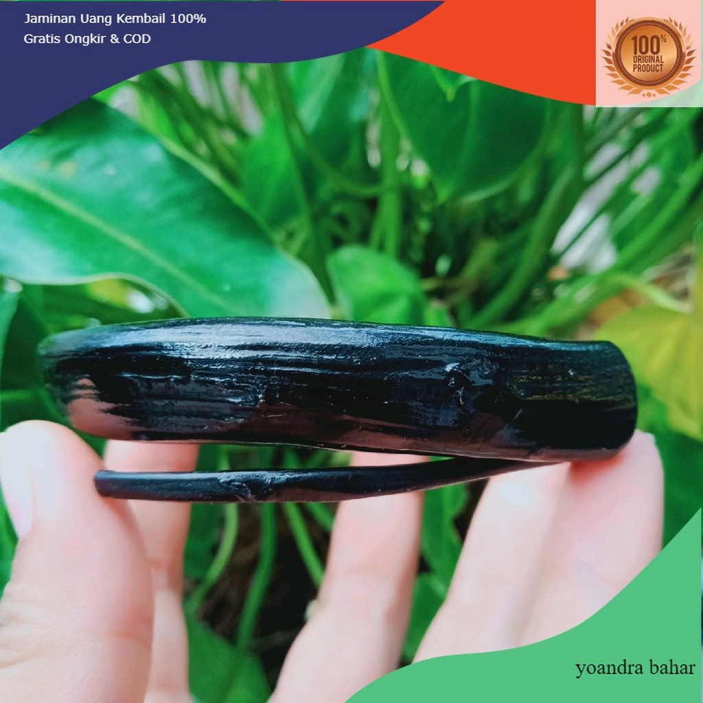 gelang akar bahar hitam polos natural berserat alami/akar bahar