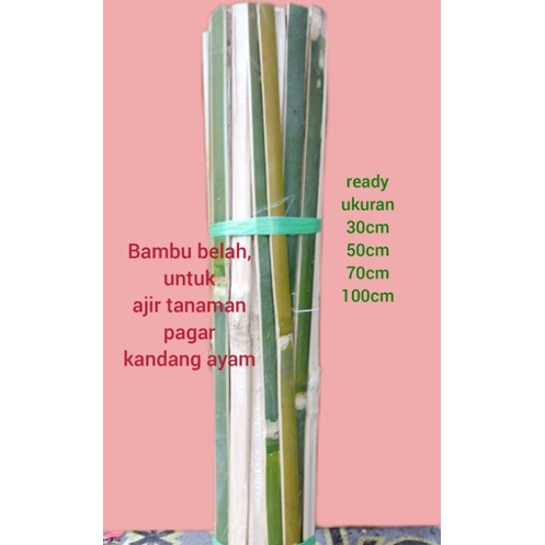 Ajir Tanaman,pagar bambu,bambu belah