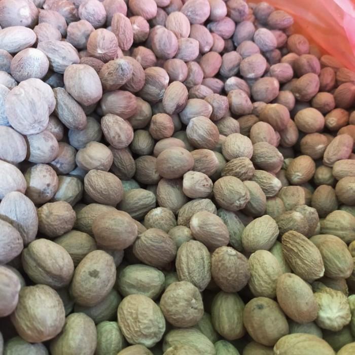 

Biji Pala Bulat / Nutmeg Whole 500 G Gram Asli Dan Fresh Best Seller