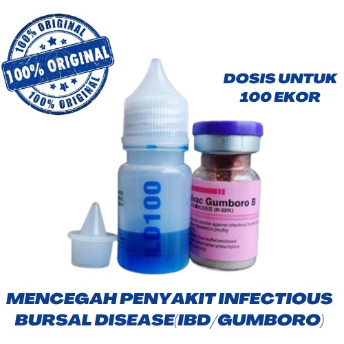 Vaksin Gumboro B Dosis 100 Vaksin Ayam