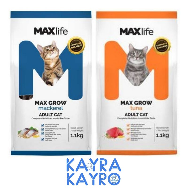 MaxLife Kitten Cat 1.1 kg - Makanan Anak Kucing
