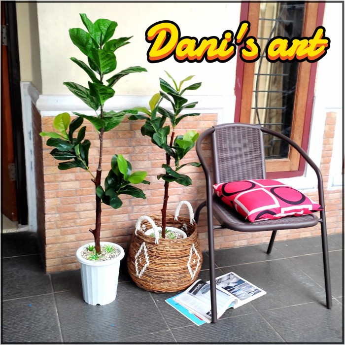 POHON KETAPANG BIOLA PALSU/ POHON KETAPANG ARTIFICIAL/POHON KARET KEBO