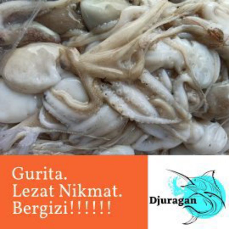 

gurita