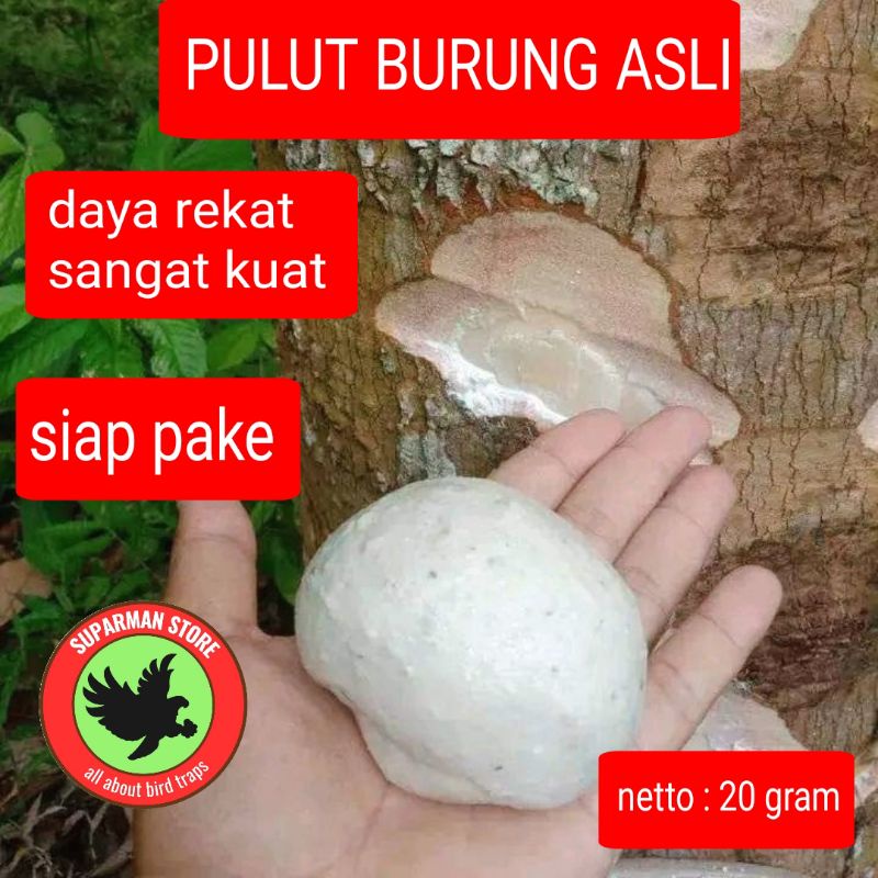lem pulut getah karet lem bendo untuk pikat burung dan tupan dan burung lainnya