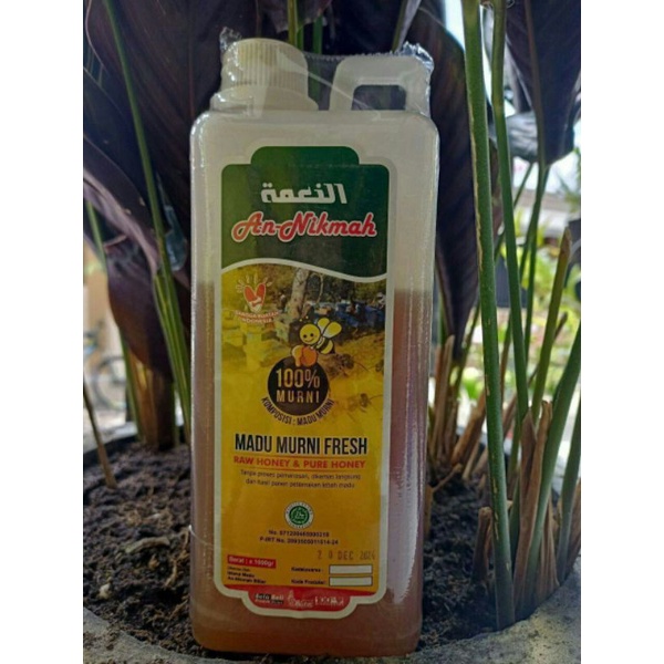 

madu nektar rambutan dan jambu mete
