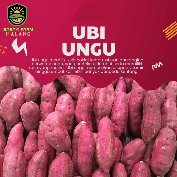 

ubi ungu ketela 250 500 gr / 1 kg