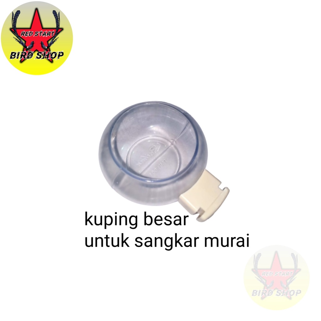 Cepuk makan minum BURUNG RAYHAN