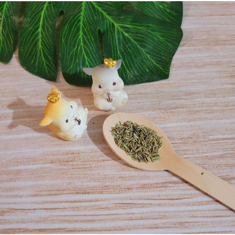 Dried Rosemary/Rosemary Kering Snack Hamster