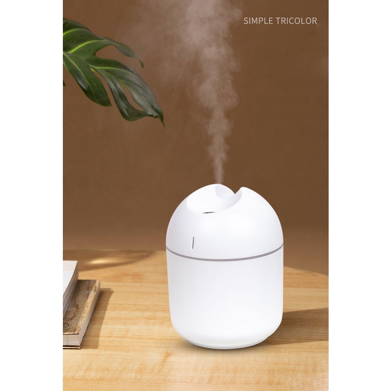 Mini USB Humidifier 250Ml Udara Diffuser Purifier Untuk Rumah Mobil USB Fogger Pembuat Kabut Dengan LED Malam Lampu