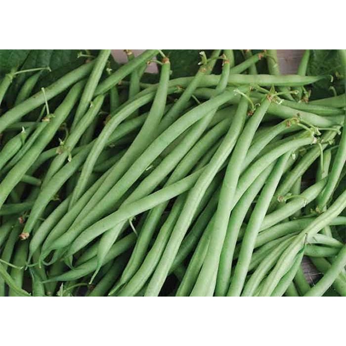 

Buncis 1kg
