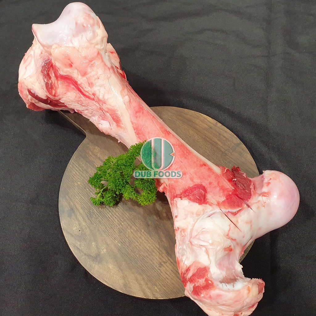 

Tulang Sumsum Sapi Jumbo Bone Marrow Bahan Stock Kaldu Keto Paha Kaki