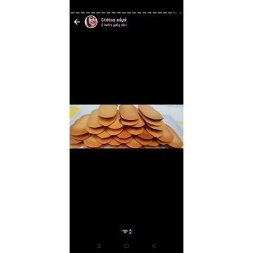 

lidahkucingisiancoklatRp70k