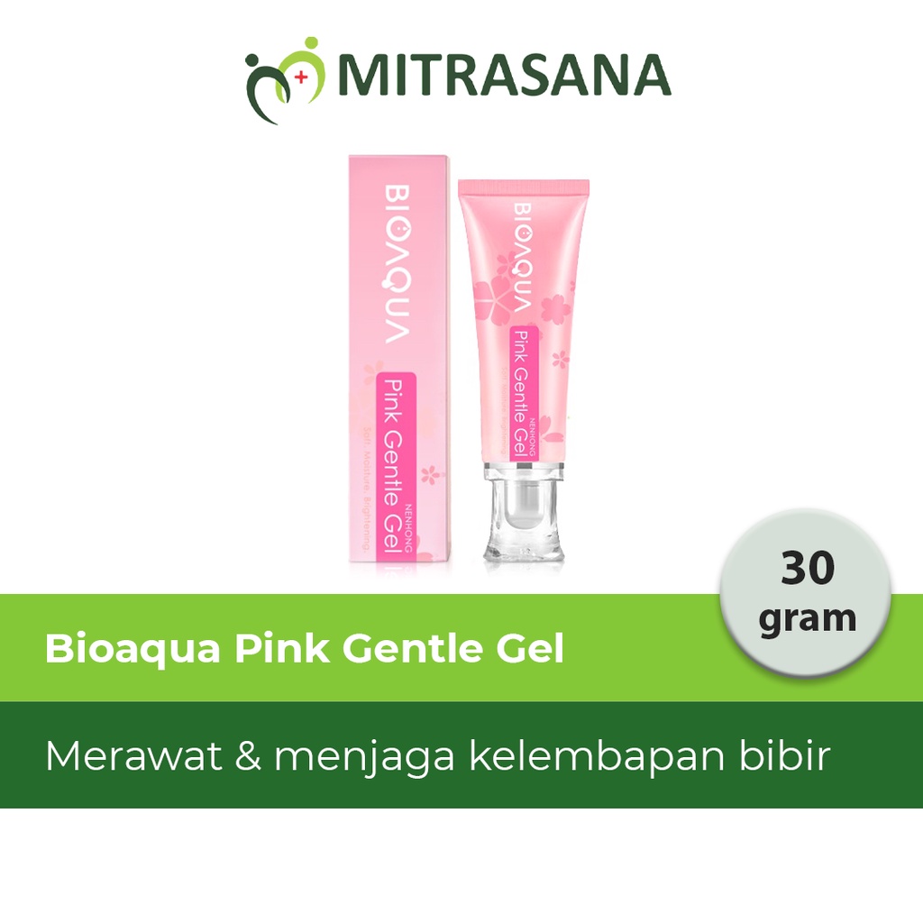 BIOAQUA Nenhong Cream 30g Warm Gentle Pink nenhong Lip serum pemerah bibir