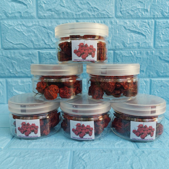 BUAH CABE KERING CAROLINA REAPER ( CABE UTUH ) CABE TERPEDAS DI DUNIA