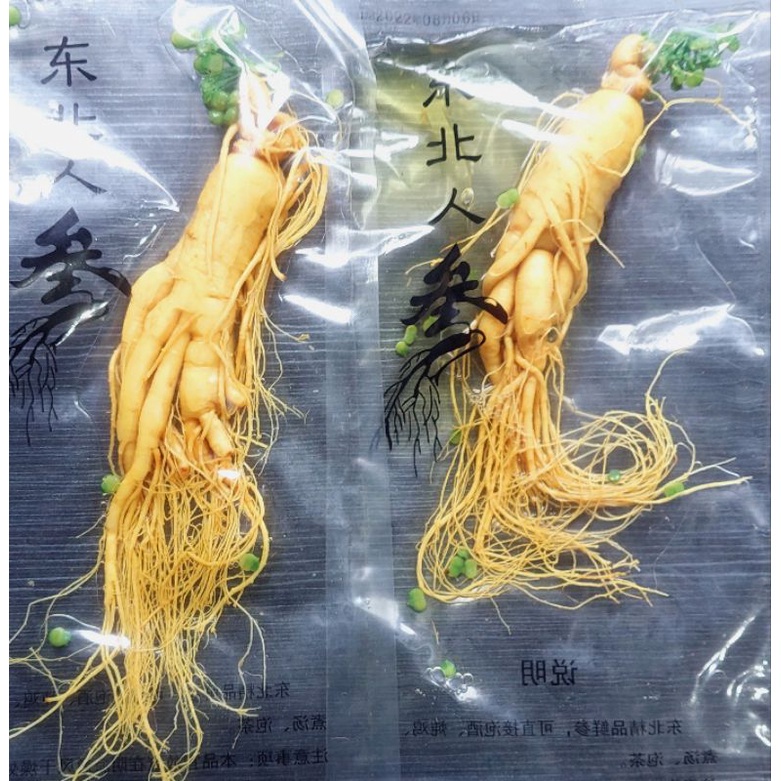 

COD Ginseng Segar 100gr ginseng merah korea Fresh Ginseng root vacuum