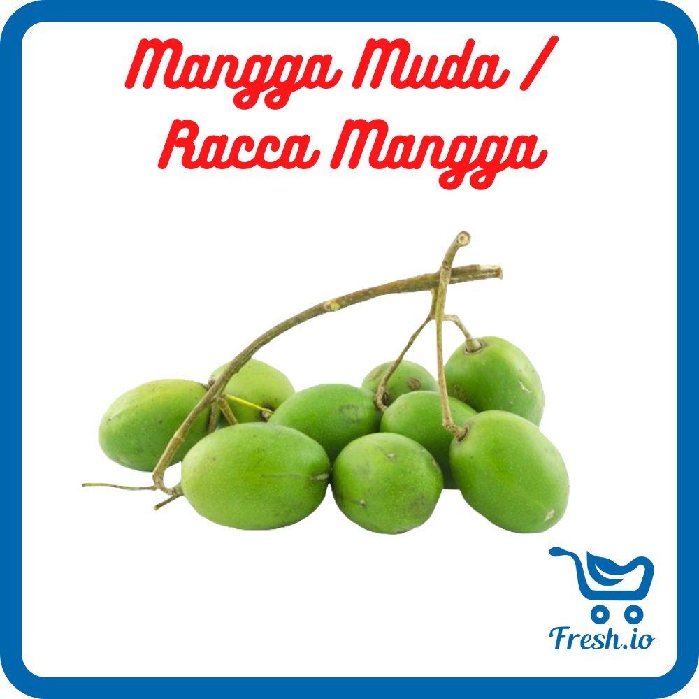 

Mangga Muda / Racca Mangga