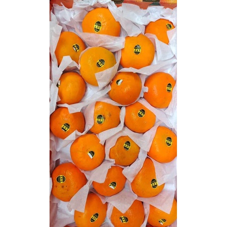 

Jeruk wogan 1 dus 8kg