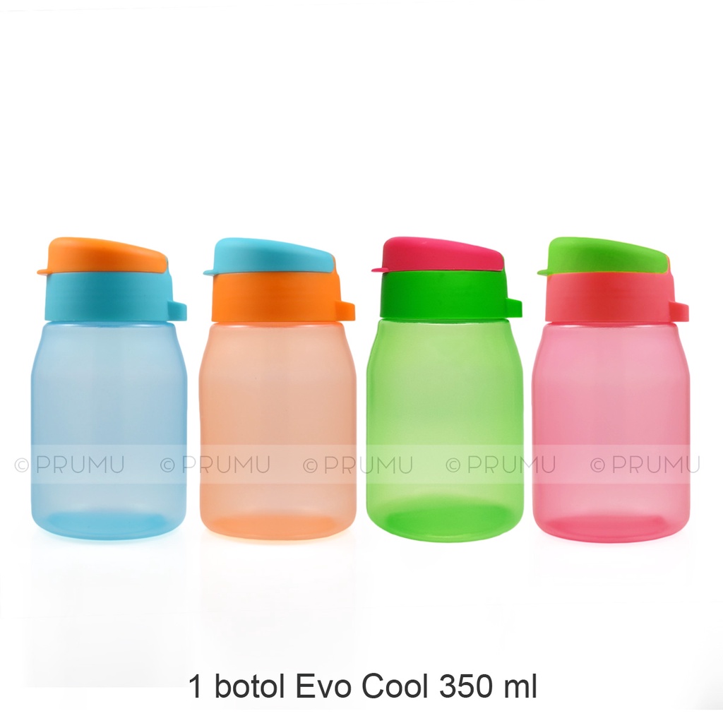 Botol Minum 350 ml - Botol Minum Anak - Souvenir Ulang Tahun - Evo Cool 350ml