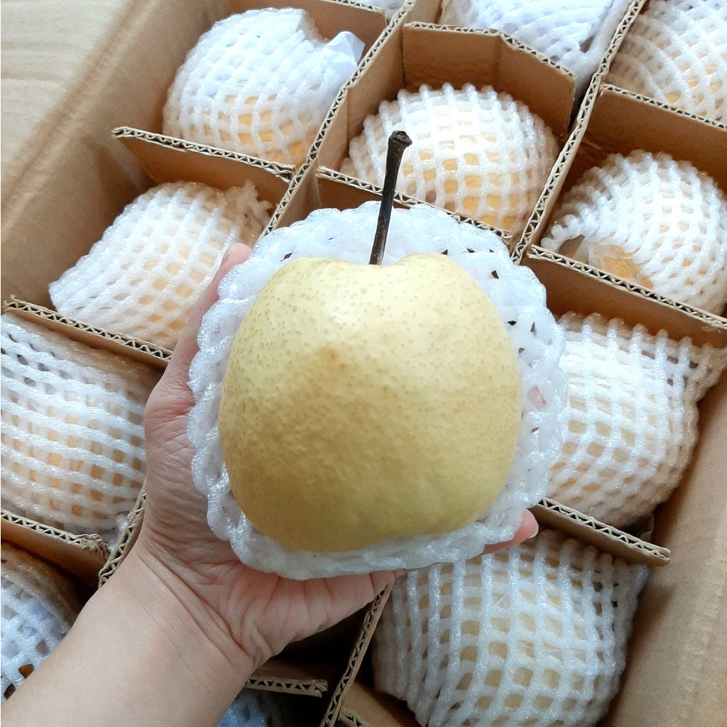 

Sweet Pear RRC Buah Segar Import