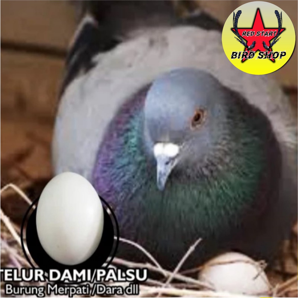 TELUR PALSU MAINAN BURUNG MERPATI TELUR PALSU MERPATI AYAM KATE TELOR TELUR PALSU MERPATI IMITASI BA