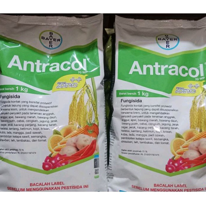 fungisida *ANTRACOL* 1KG