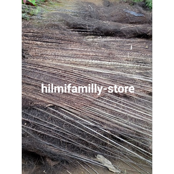 Ijuk aren kakaban, Ijuk berharupat/berduri, untuk menempelnya telur ikan, bahan atap villa , gazebo,