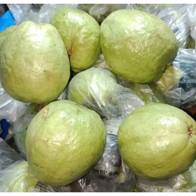 

jambu klutuk putih 1kg