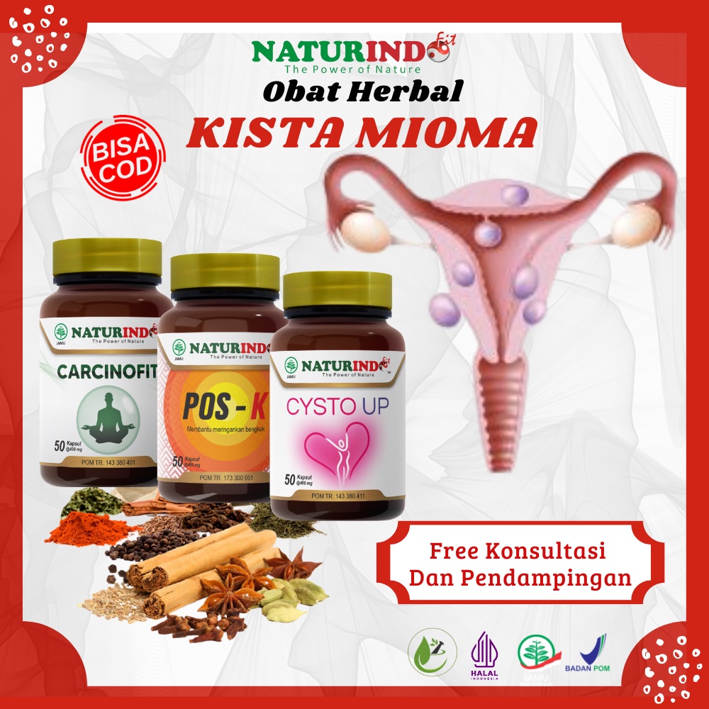 Jual Obat Herbal Kista Miom Bartholin Kista Ovarium Obat Kista Ganglion