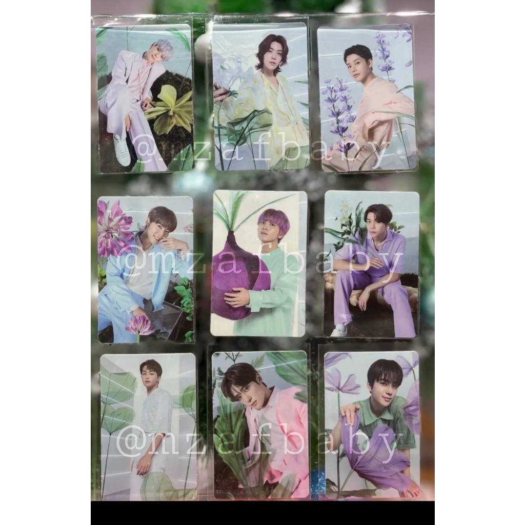 SHARING PHOTOCARD NCT 127 HERBOLOGY X NATURE REPUBLIC