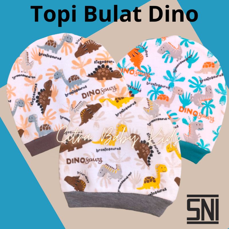 Topi Bayi Bulat SNI Topi Baby Newborn Kupluk Bayi Baru Lahir