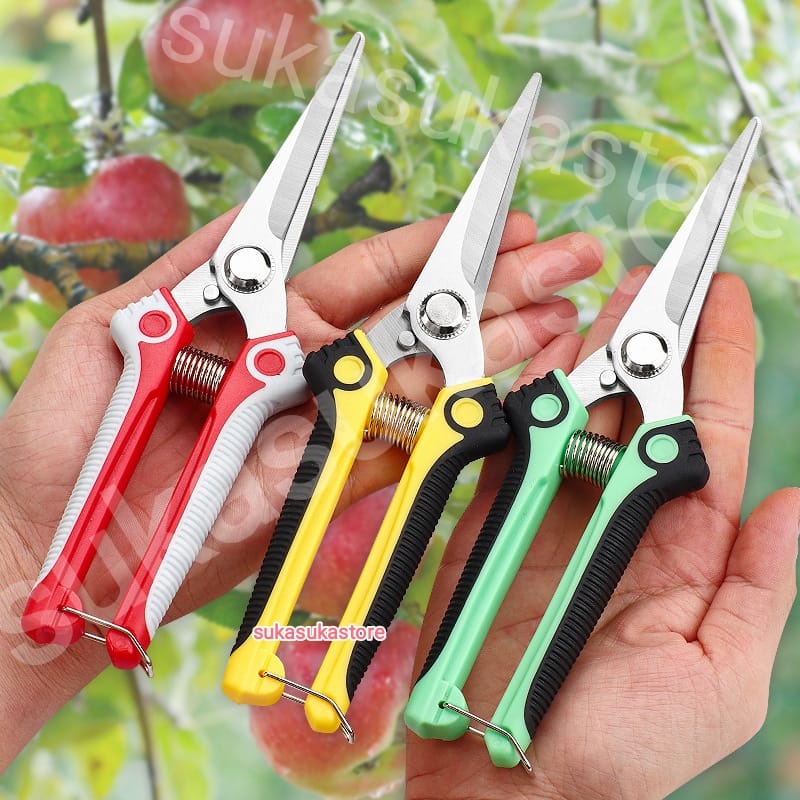 Gunting Pemetik Pruning Floral Bonsai Buah Bunga Daun Pruning Shears Lancip Taman