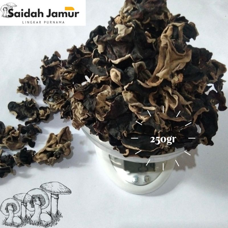 

JAMUR KUPING KERING FRESH 250GR