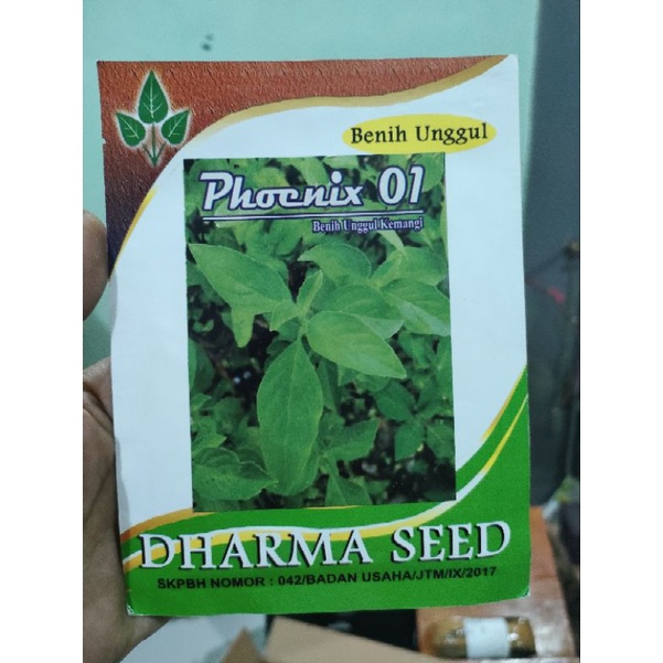 Kemangi Phoenix 10gr Original Pabrik Dharma Seed