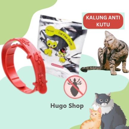 KALUNG ANTI KUTU kucing kitten kelinci / cat flea circle / kalung pengusir kutu kucing