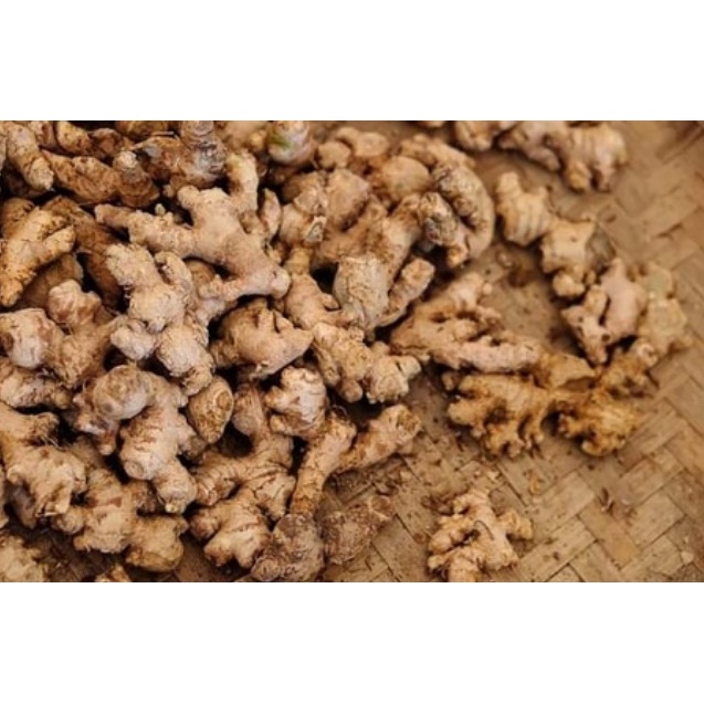 

Jahe Emprit 1 Kg