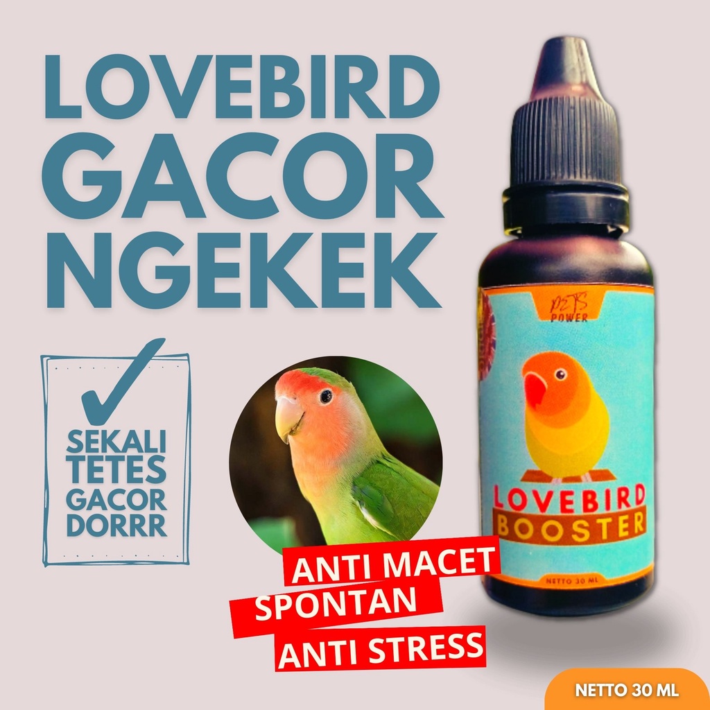 Vitamin Burung Lovebird / Vitamin Burung Lovebird Ngekek Panjang / Vitamin Burung Lovebird Jebol Birahi / Vitamin Burung Lovebird Konslet / Vitamin Burung Lovebird Putri Ayu / Vitamin Burung Lovebird Ternak